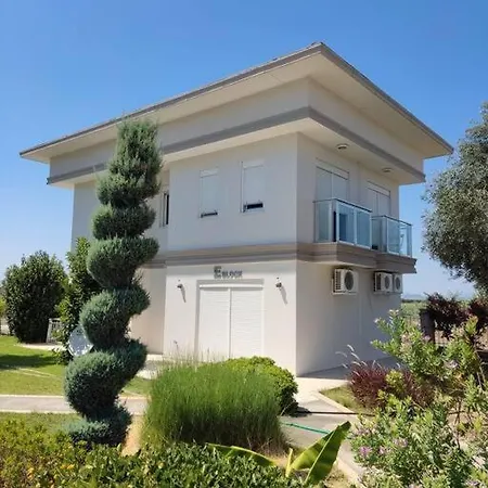 White House * Serik